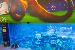 Dubai-20