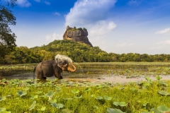 Sri-Lanka-HR-1