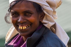 Sri-Lanka-HR-157