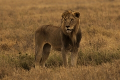 Tanzania_HR-125