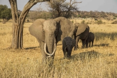 Tanzania_LR-14
