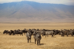 Tanzania_LR-51